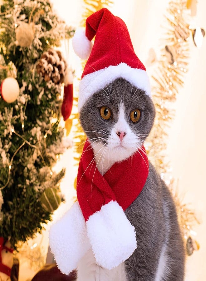 YUJUN 2PCS Cat Santa Hat with Scarf Outfit for Puppy Kitten Christmas Party Costume Supplies - Image 5